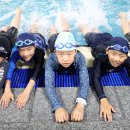 학촌실내수영장 이미지