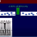 솔리톤 이미지