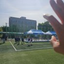 담양동초등학교