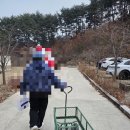 팔공산글램핑 | 대구 팔공산 글램핑 :: 군위 트리풀 글램핑 내돈내산 후기