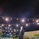 범어사메트로약국 | [놀러다니JI] 자연 속 힐링, 양산 백동오리 그리고 인더숲