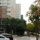가톨릭보령당약국 이미지