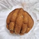 코코호도 선물 후기｜25알 세트 가격부터 맛까지 솔직리뷰