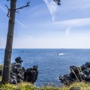 주상농장 이미지