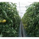 가온길하우스 이미지