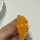 향성농원 네이버블로그