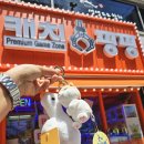 캐치팡팡 이미지