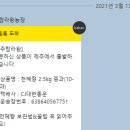 탐라 오렌지
