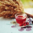 커피꽃향기 이미지