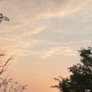 구석기체험숲4 이미지