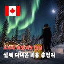 오로라 여행 비용 현실 실제 다녀온 비용 총정리