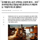 안의모터스