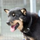 달아실 농원 이미지