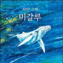 하얀 이미지
