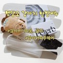 동서하나로한방병원 | 강아지 한방비누 추천 | 산책 후 강아지 가려움 발사탕 관리 펫당고 후기