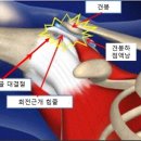즐거운피티샵(개봉점) 이미지