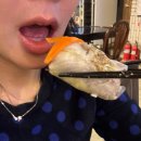 중구건강지원센터 화장실 | 을지로입구역맛집 명동맛집_베트남 현지 쉐프가 직접만드는 퍼녀쌀국수 명동점 [Phở Nhỏ]