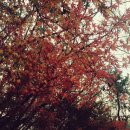 평화열린조산원 | [출산이야기] 자연주의 출산 in 창원 평화열린조산원