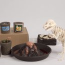 (주)자연과자원 이미지