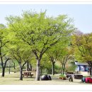 삼성현역사문화공원 티스토리
