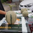 김성곤농장 이미지