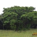 수련원야영장 이미지