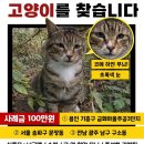 옥돌장