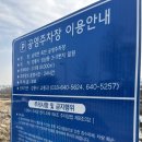 남대천강릉교밑 이미지