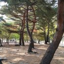 구만동 오토캠핑장 이미지