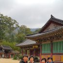 2016년 10월29~30일-양산,내원사,홍룡사,양산국화,부산 송도해수욕장 이미지