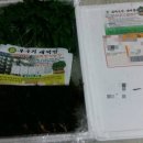 새싹향기농장 | 새싹향기농장 새싹삼 후기 남겨요 ~