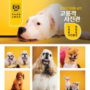 GXD익스트림스튜디오