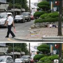 신고 없으면 그냥 지나가는 대한민국 경찰.( 수정본 ) 이미지