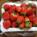 인천농장 이미지