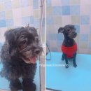 59펫살롱 이미지