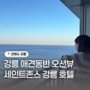앨리스애견호텔, 용품 | 강릉 애견동반 숙소 추천 세인트존스 호텔 골져스 더블 파셜 오션뷰 내돈내산 후기