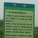 적성교차로 이미지