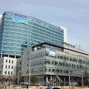 해운대 백병원 이미지