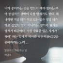 빨강쥬디