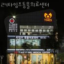 타임즈 동물의료센터 이미지