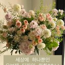 플라워바이유지