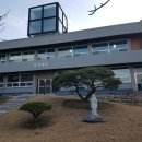 성심수녀회