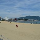 송도해수욕장 이미지