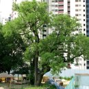 대천동-7 이미지