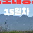 윙스텔 이미지
