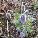 1692 | [성남시 고등동] 덕수이씨 의정공파 이희상의 묘