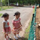 늘솔길공원입구 | 인천남동구 늘솔길공원산책 양떼목장 장미원 숲속놀이터 주차 산책후기