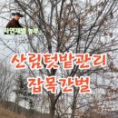 더드림팜 이미지