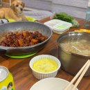 하늘채 펜션 | 전북 고창 애견동반 펜션 선운하늘채펜션 후기