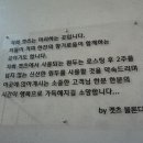 살롱블롱디캣츠 네이버블로그